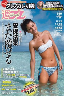 黑三角电视剧全集